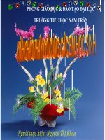 phòng bệnh sốt xuất huyết