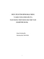  PHÂN TÍCH TÌNH HÌNH HOẠT ĐỘNG  VÀ KHẢ NĂNG SINH LỜI CỦA  NGÂN HÀNG TMCP HÀNG HẢI VIỆT NAM (MARITIME BANK)