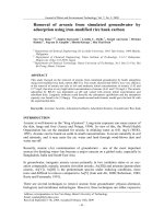 Removal of arsenic from simulated groundwater by adsorption using iron-modified rice husk carbon