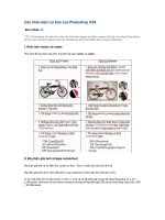 Các khái niệm cơ bản của Photoshop CS4