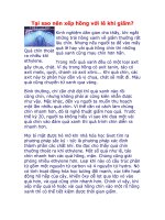 Tại sao nên xếp hồng với lê khi giấm