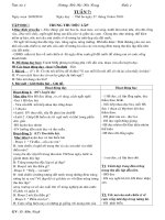 Tuần 7 lớp 4(CKTKN)