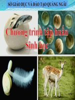 Chuyên đề sinh 6 - THỰC VẬT