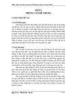 SKKN (Loc - Binh Minh - Binh Son - Quang Ngai)