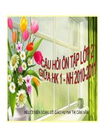 ÔN TẬP KIỂM TRA KHỐI 2-GIỮA HKI-NH 2010-2011