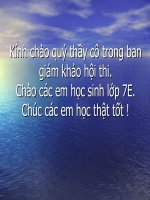 giáo an thi gvg tiết49 hình 7