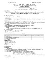 Giáo án Địa Lí 11CB