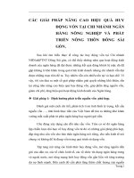 CÁC GIẢI PHÁP NÂNG CAO HIỆU QUẢ HUY ĐỘNG VỐN TẠI CHI NHÁNH NGÂN HÀNG NÔNG NGHIỆP VÀ PHÁT TRIỂN NÔNG THÔN ĐÔNG SÀI GÒN