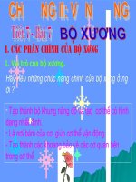 bai 7.Bộ xương