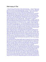 HÌNH TƯỢNG CÔ TẤM