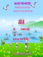 tu nhien xa hoi lop 2