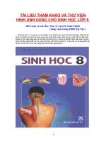 hình ảnh sinh học 8
