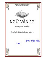 Ngữ Văn mới_tuần 7 - 9(2009-2010)