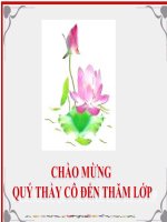 Tập đọc Bài: Bài thơ về tiểu đội xe không kính