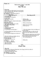 Giáo án Buổi 2-lớp 2