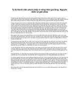 THANH NIÊN NÔNG THÔN PHẠM PHÁP GIA TĂNG