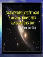 Nguyễn Đình Chiểu ngôi sao sáng