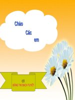 Bài 29: Hấp thụ chất dinh dưỡng