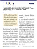 Water Splitting on Composite Plasmonic-Metal/SemiconductorPhotoelectrodes: Evidence for Selective Plasmon-Induced Formationof Charge Carriers near the Semiconductor Surface