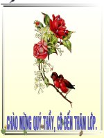 HInh trụ, hình cầu