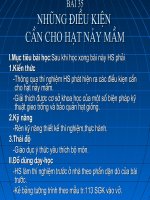 Bai 35_Nhung D.kien can cho Hat nay mam