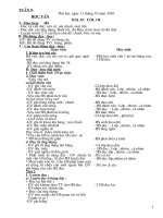 Giáo án dạy ngày 2 buổi( Tuần 9 lớp B)