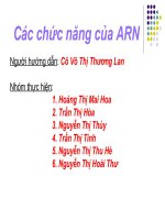 Chức năng của ARN