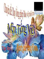 Nguoi gac rung ti hon