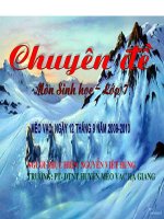 tiết 13 giun đũa hình ảnh rất đẹp và cực hót. hùng