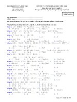 ĐỀ THI TUYỂN SINH ĐẠI HỌC NĂM 2010 Môn: TIẾNG NHẬT; Khối D mã đề 364 