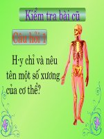 Tuần 3: Hệ cơ