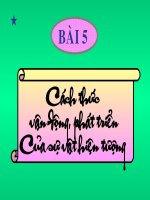 Bài 5: TQ thời phong kiến - tiết 2