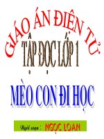 MÈO CON ĐI HỌC
