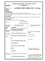 Luyện từ và câu tăng cường