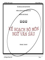 kế hoạch bộ môn theo chuẩn kiến thức 6