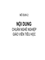 Bồi dưỡng nội dung chuẩn nghề nghiệp giáo viên Tiểu học