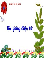 bai phep cong trong pham vi 10