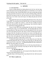 SKKN Tran Cat Vu Quang