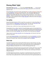 DƯƠNG ĐÌNH NGHỆ