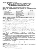 ĐỀ THI NGỮ VĂN 9 HỌC KỲ 2