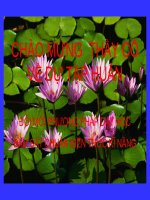 Bài giảng tập huấn NV