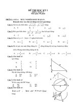 Đề thi học kỳ  1 Toán 9