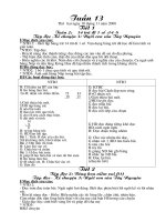 Tuần 13 lớp ghép 2+3