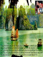 Beautyful Vietnamese 2009