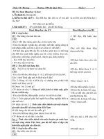 giáo án 5 t5 CKTKN