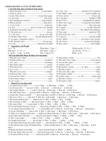 CONSOLIDATION 4 - GRADE 7TH