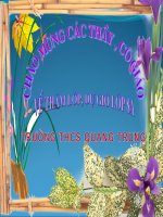 đại số 8 tiết 12