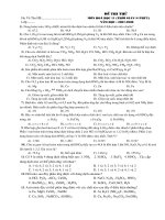 Đề thi thử lớp 11