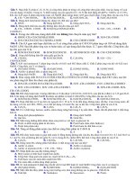 AMIN-AMINOAXIT-CACBOHIĐRAT