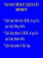 Đổi mới PP dạy học quy luật Men đen